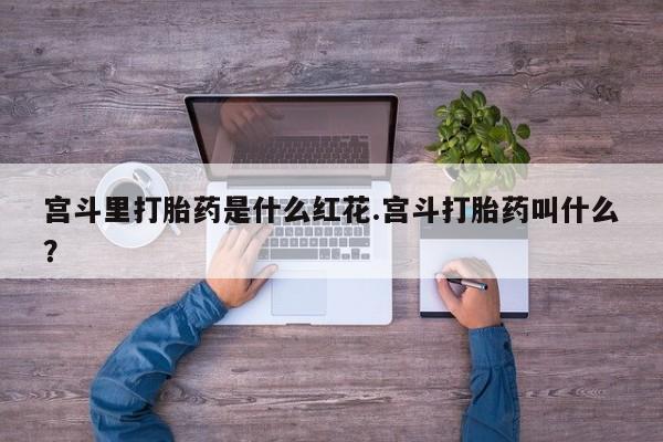 米非司酮网上药店微信宫斗里打胎药是什么红花.宫斗打胎药叫什么？